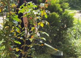 Облагораживаем территорию