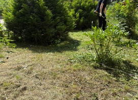 Облагораживаем территорию